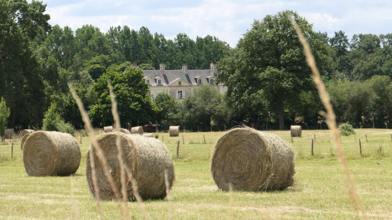 Château La Mothaye Les Bois-d'Anjou Exterior foto